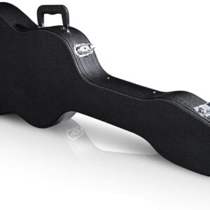 Guitar case