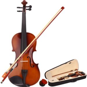 Acoustic Violin